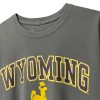 تیشرت خاکی با چاپ Wyoming